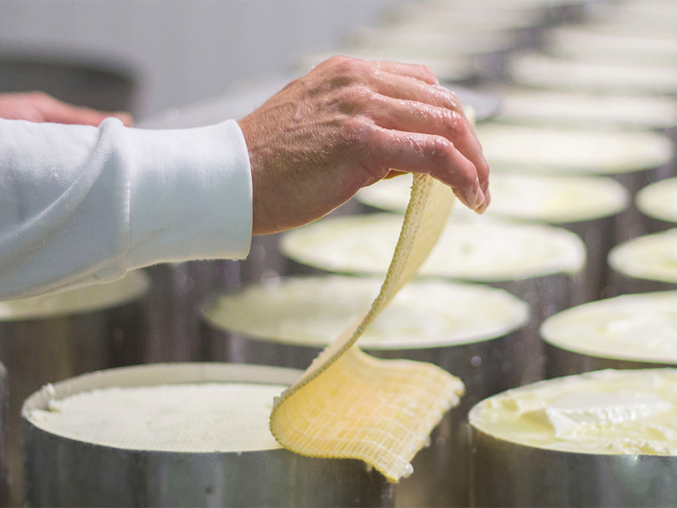 Pardon uitgebreid leer Automatische desinfectie houdt kaasproductie schimmelvrij - FoodTec
